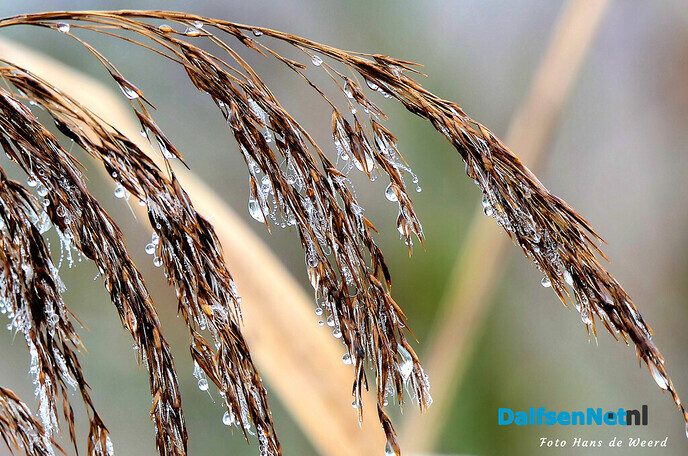 Bellingeweer in nevelen gehuld - Foto: Ingezonden foto