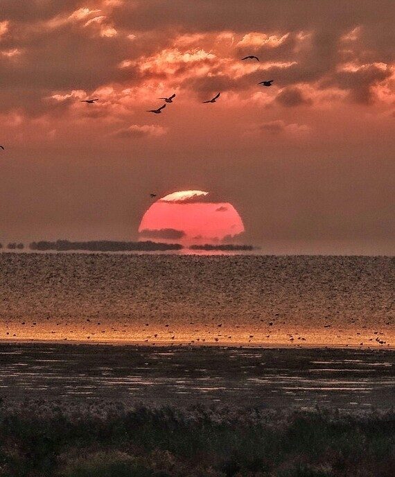 Jaaroverzicht Femmie bijzondere zonsondergangen