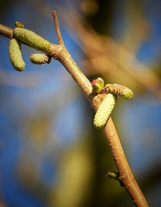 Natuurfotograaf is niet bang voor een beetje kou - Foto: Femmie Smink