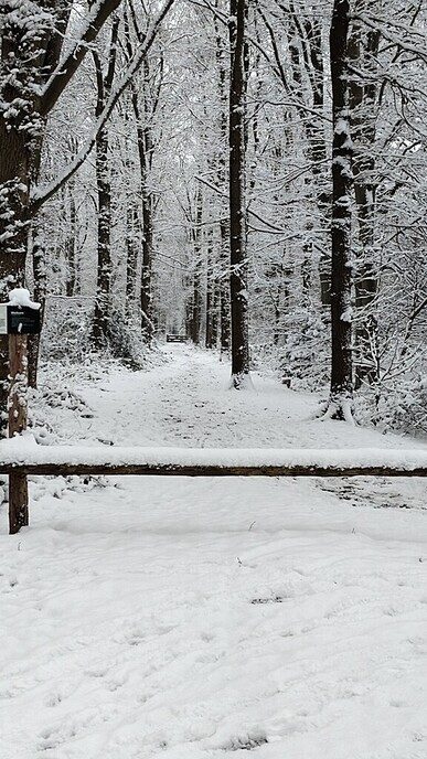 Een nieuwe serie sneeuwfoto’s (2), het aanbod is groot - Foto: Ingezonden foto