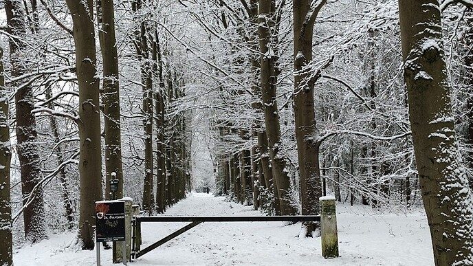 Een nieuwe serie sneeuwfoto’s (2), het aanbod is groot - Foto: Ingezonden foto