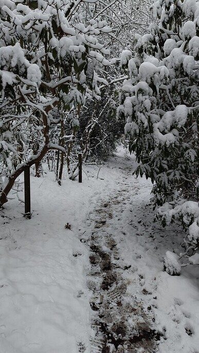 Een nieuwe serie sneeuwfoto’s (2), het aanbod is groot - Foto: Ingezonden foto