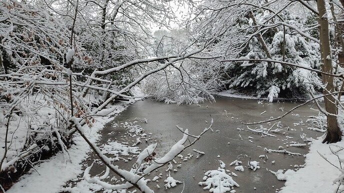 Een nieuwe serie sneeuwfoto’s (2), het aanbod is groot - Foto: Ingezonden foto