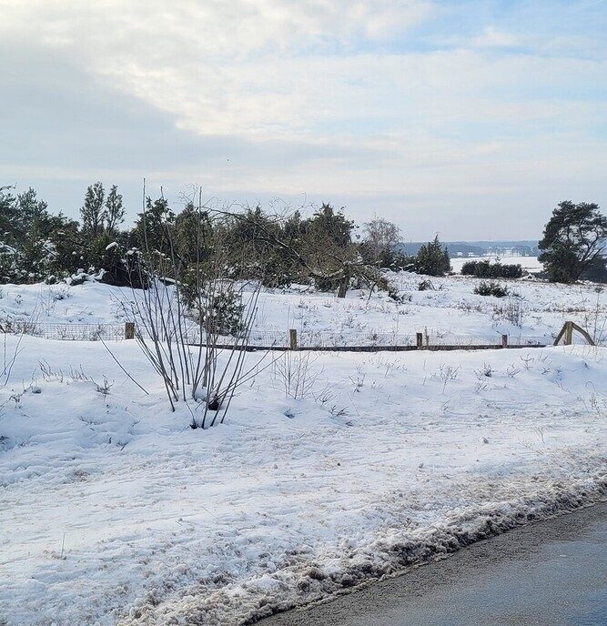 Foto’s sneeuw: Dag 4 donderdag en Map 2 - Foto: Ingezonden foto