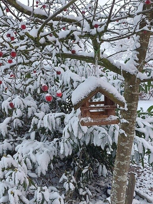 Nieuwe dag, nieuwe sneeuwfoto’s Dag 2 map 1 - Foto: Ingezonden foto