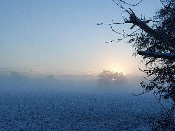 Nieuwe dag, nieuwe sneeuwfoto’s Dag 2 map 1 - Foto: Ingezonden foto