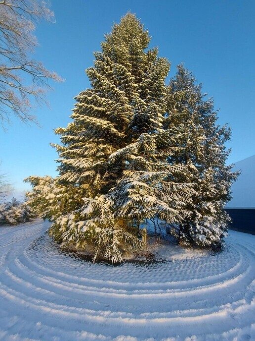 Nieuwe dag, nieuwe sneeuwfoto’s Dag 2 map 1 - Foto: Ingezonden foto
