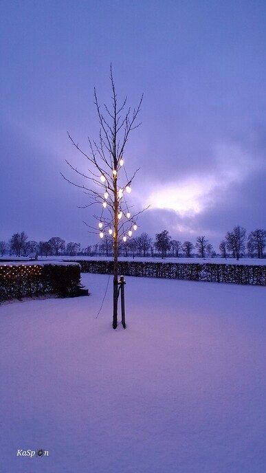  Foto’s sneeuw: Dag 3 woensdag en Map 2 - Foto: Ingezonden foto