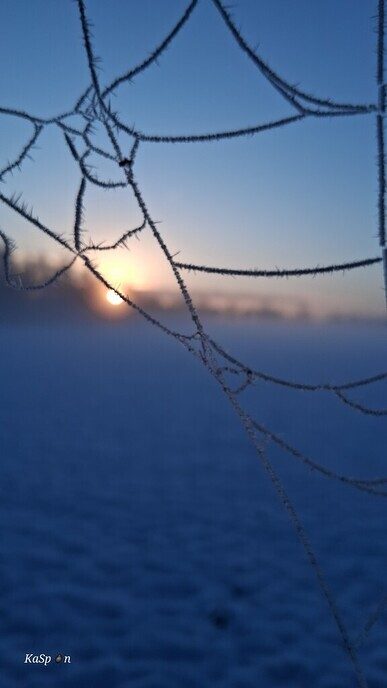  Foto’s sneeuw: Dag 3 woensdag en Map 2 - Foto: Ingezonden foto