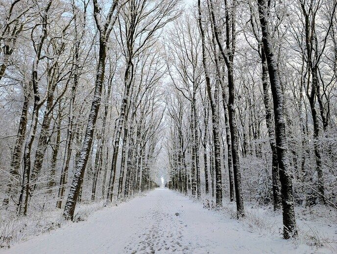 Nieuwe dag, nieuwe sneeuwfoto’s Dag 2 map 1 - Foto: Ingezonden foto