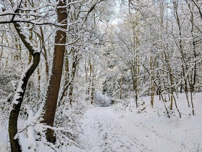 Nieuwe dag, nieuwe sneeuwfoto’s Dag 2 map 1 - Foto: Ingezonden foto