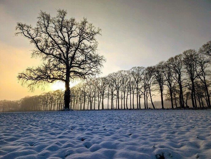 Nieuwe dag, nieuwe sneeuwfoto’s Dag 2 map 1 - Foto: Ingezonden foto