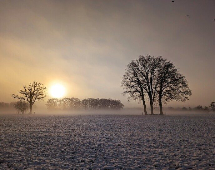 Nieuwe dag, nieuwe sneeuwfoto’s Dag 2 map 1 - Foto: Ingezonden foto