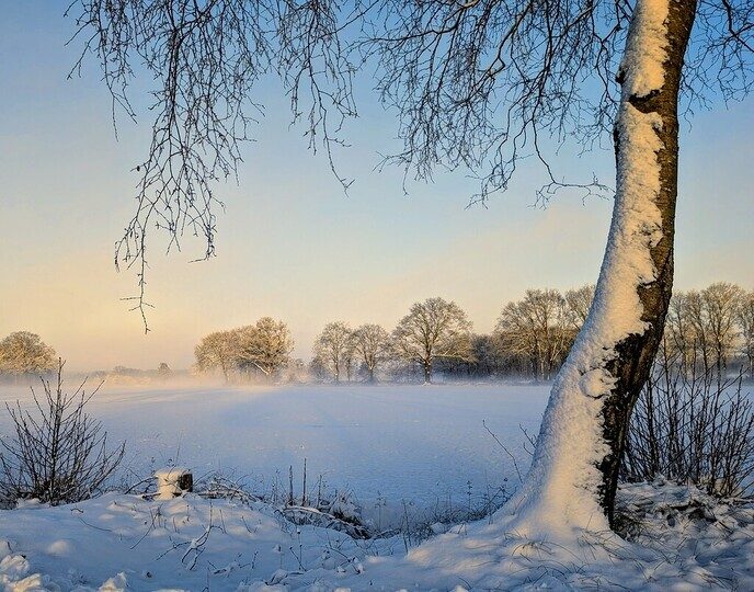 Nieuwe dag, nieuwe sneeuwfoto’s Dag 2 map 1 - Foto: Ingezonden foto