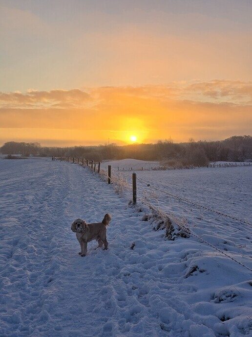 Foto’s sneeuw: Dag 4 donderdag en Map 1 - Foto: Ingezonden foto