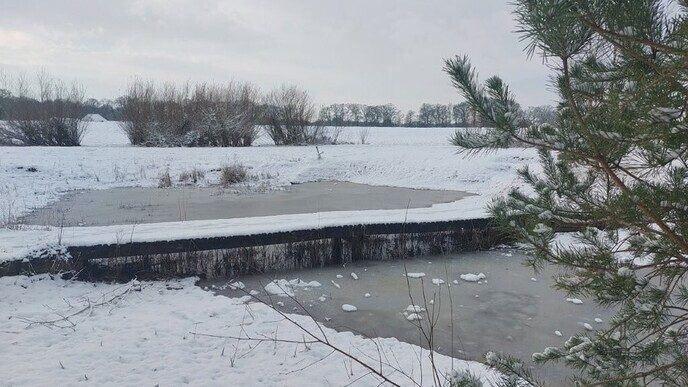 Prachtig: de sneeuwfoto’s (map1 dag 1) foto’s hagelen binnen (update) - Foto: Ingezonden foto
