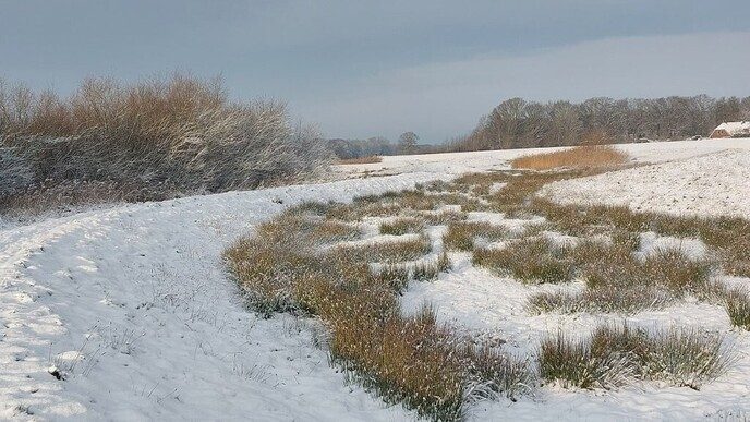 Prachtig: de sneeuwfoto’s (map1 dag 1) foto’s hagelen binnen (update) - Foto: Ingezonden foto