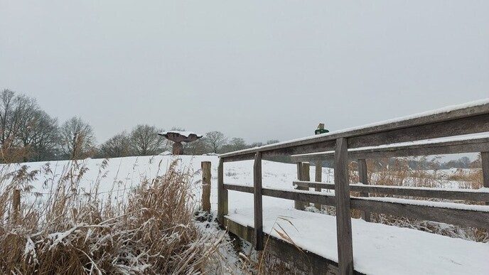 Prachtig: de sneeuwfoto’s (map1 dag 1) foto’s hagelen binnen (update) - Foto: Ingezonden foto