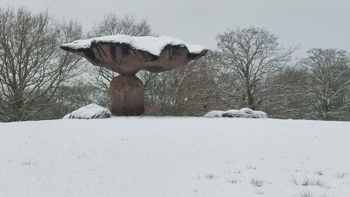 Prachtig: de sneeuwfoto’s (map1 dag 1) foto’s hagelen binnen (update) - Foto: Ingezonden foto