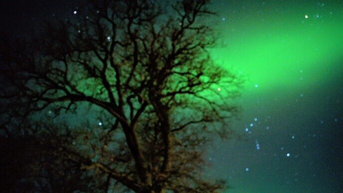 Northern Light (5, 6 ,7 en 8) - Foto: Ingezonden foto