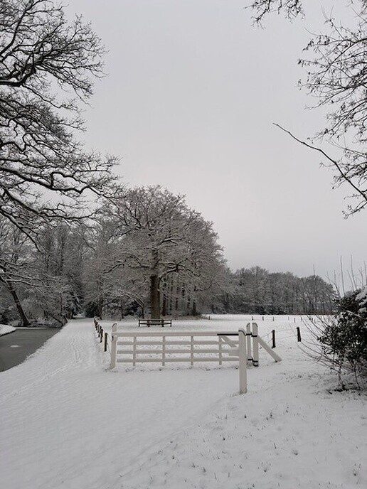 Prachtig: de sneeuwfoto’s (map1 dag 1) foto’s hagelen binnen (update) - Foto: Ingezonden foto