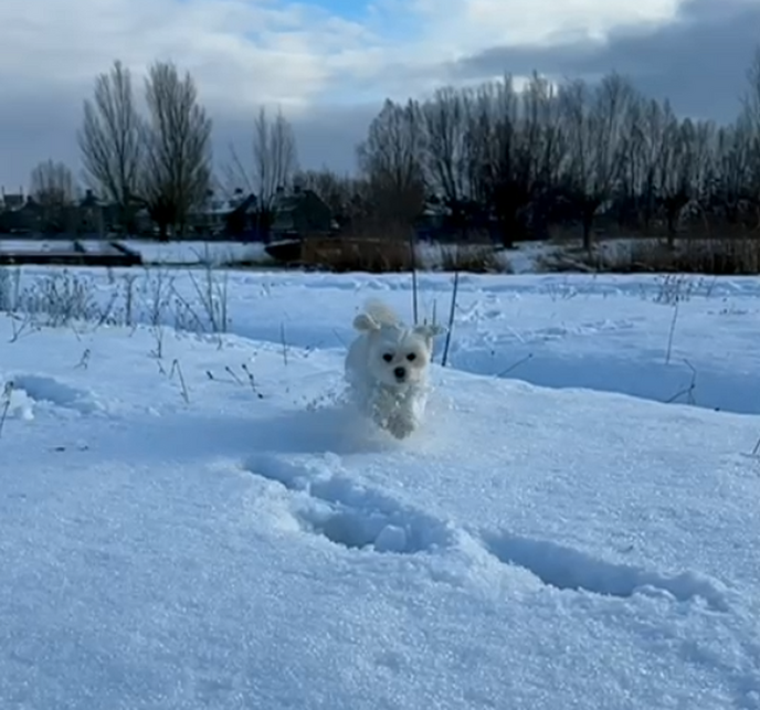 Foto’s sneeuw: Dag 4 donderdag en Map 2 - Foto: Ingezonden foto