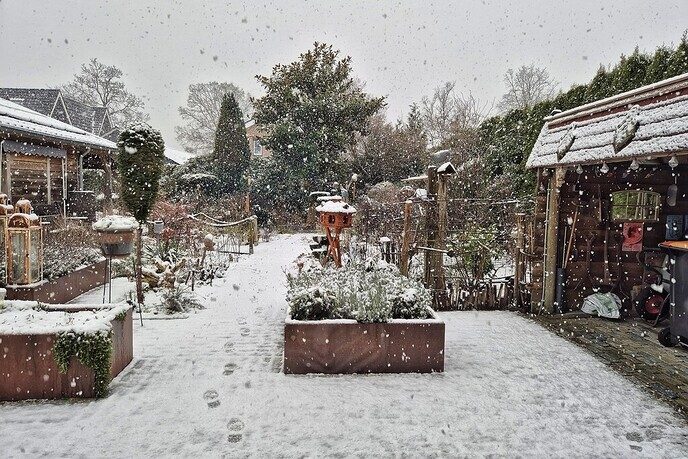 Kleur en variatie in de sneeuw - Foto: Femmie Smink