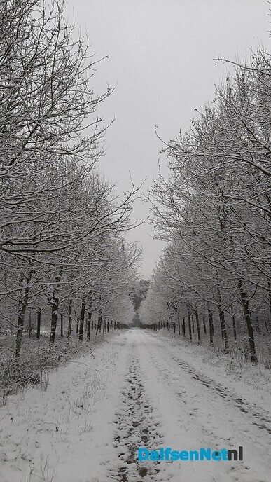 Wintermagie rond Huize Den Berg - Foto: Jennie Kanis