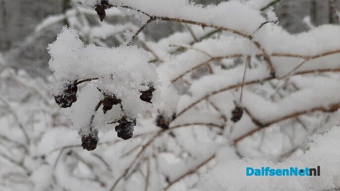 Wintermagie rond Huize Den Berg - Foto: Jennie Kanis
