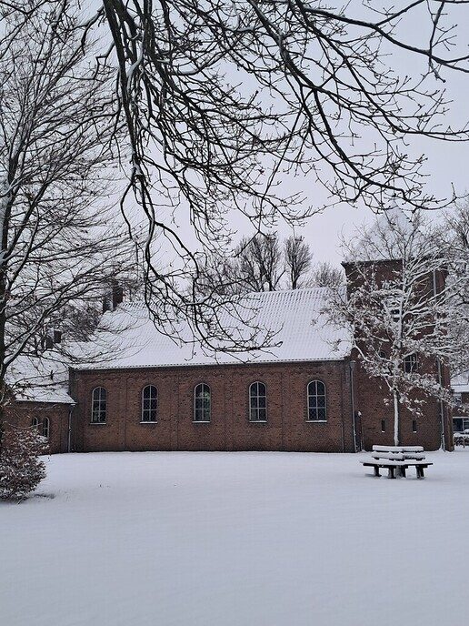 Prachtig: de sneeuwfoto’s (map1 dag 1) foto’s hagelen binnen (update) - Foto: Ingezonden foto