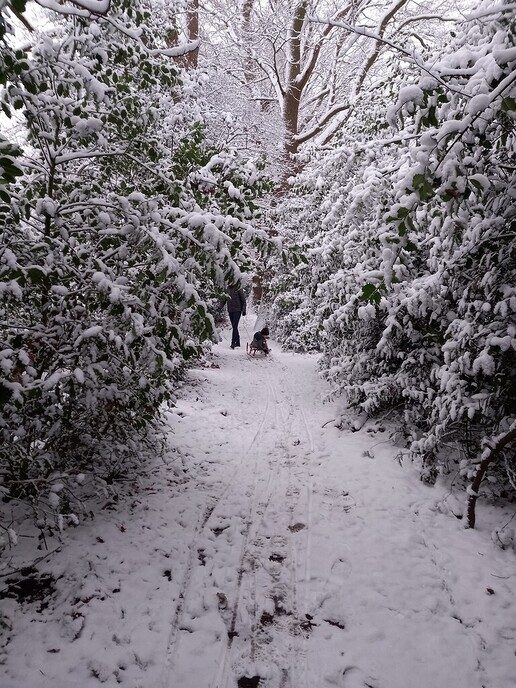 Foto’s sneeuw: Dag 4 donderdag en Map 2 - Foto: Ingezonden foto
