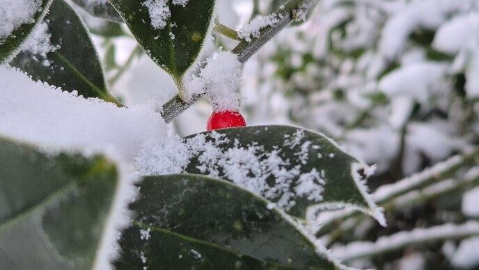Nieuwe dag, nieuwe sneeuwfoto’s Dag 2 map 1 - Foto: Ingezonden foto