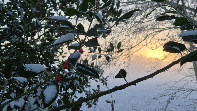 Nieuwe dag, nieuwe sneeuwfoto’s Dag 2 map 1 - Foto: Ingezonden foto