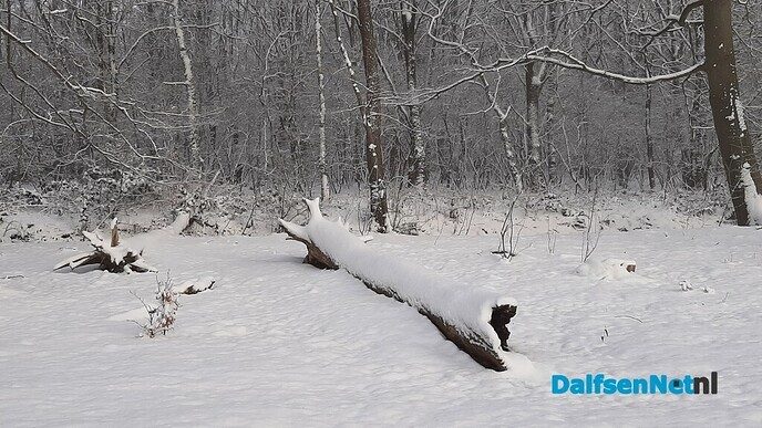 Wintermagie Den Alerdinck en de Colckhof - Foto: Jennie Kanis