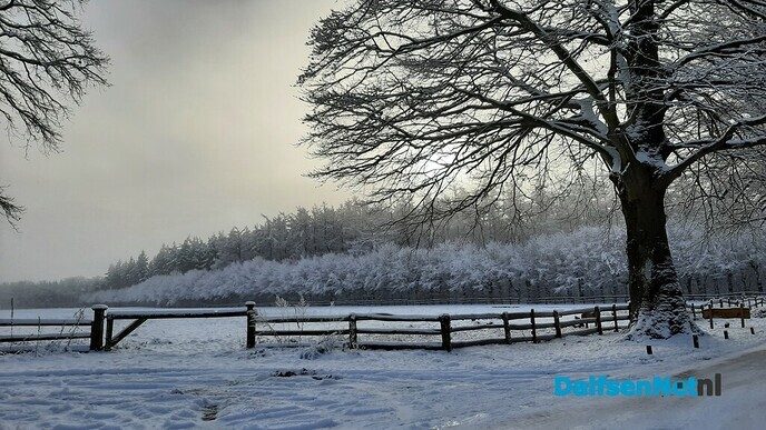 Wintermagie Den Alerdinck en de Colckhof - Foto: Jennie Kanis