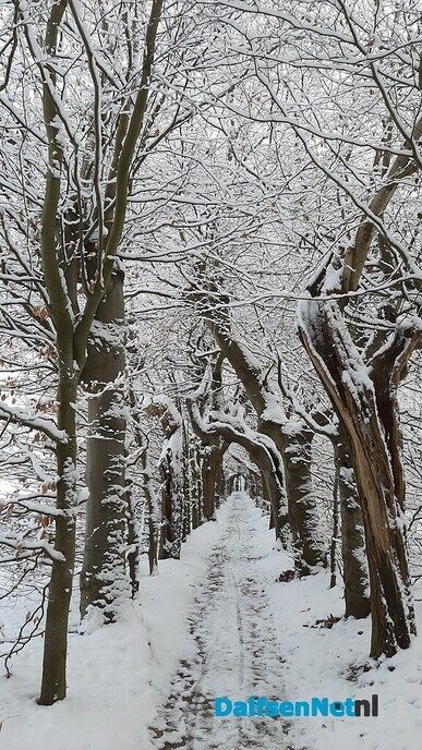 Wintermagie Den Alerdinck en de Colckhof - Foto: Jennie Kanis