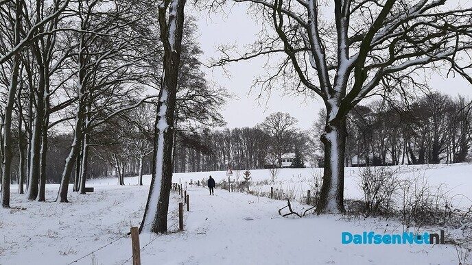 Winterse plaatjes Bellingeweer - Foto: Jennie Kanis