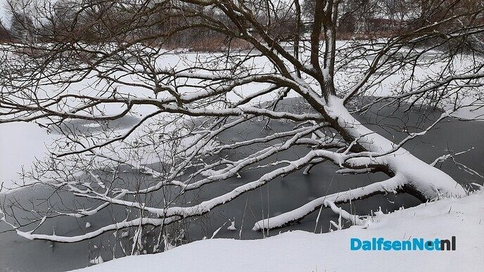 Winterse plaatjes Bellingeweer - Foto: Jennie Kanis