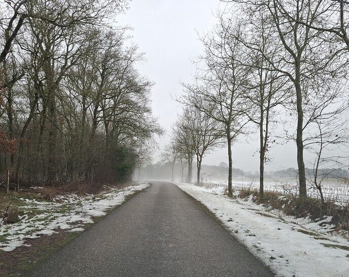 Mist - Foto: Gruune Jopie