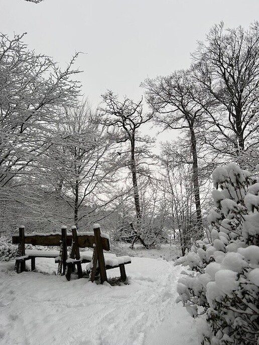 Prachtig: de sneeuwfoto’s (map1 dag 1) foto’s hagelen binnen (update) - Foto: Ingezonden foto