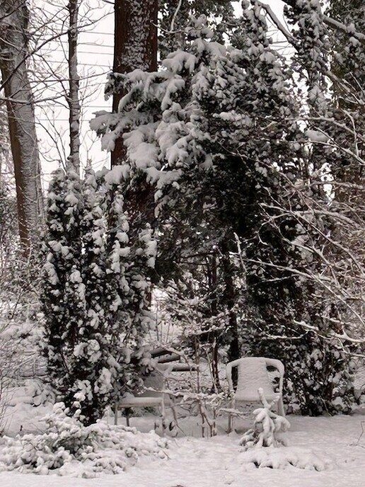 Foto’s sneeuw: Dag 4 donderdag en Map 2 - Foto: Ingezonden foto