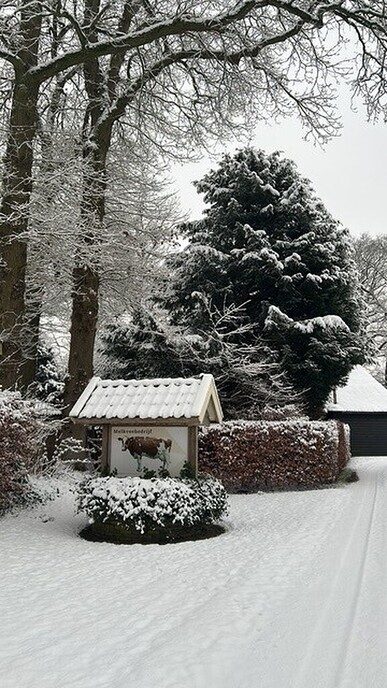 Prachtig: de sneeuwfoto’s (map1 dag 1) foto’s hagelen binnen (update) - Foto: Ingezonden foto
