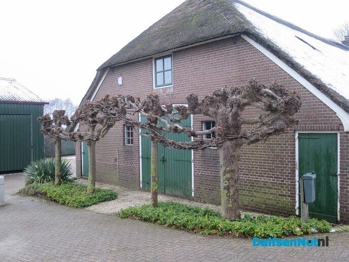 Van Hoonhorst via Laagzuthem rondje Hoevenbrug 16 km - Foto: Wim