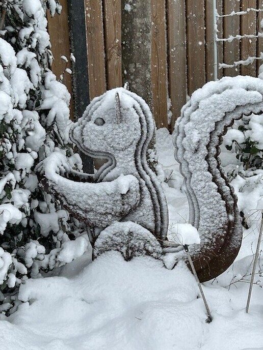 Foto’s sneeuw: Dag 4 donderdag en Map 2 - Foto: Ingezonden foto