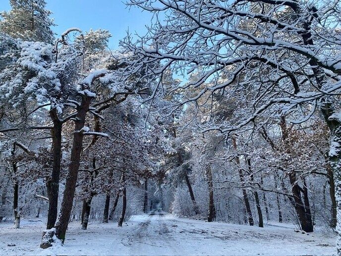 Foto’s sneeuw Dag 3 woensdag en Map 1 - Foto: Ingezonden foto