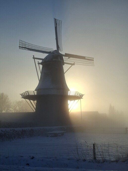 Nieuwe dag, nieuwe sneeuwfoto’s Dag 2 map 1 - Foto: Ingezonden foto