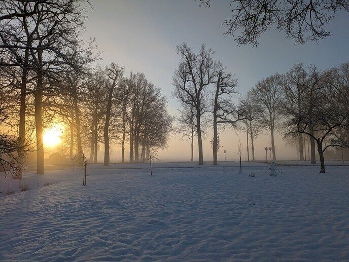 Foto’s sneeuw Dag 2 dinsdag en Map 2
