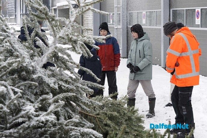 Inleveren kerstbomen - Foto: Paul Scholten