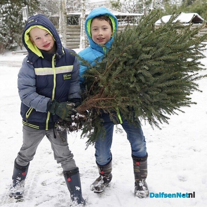 Inleveren kerstbomen - Foto: Paul Scholten