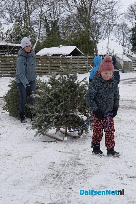 Inleveren kerstbomen - Foto: Paul Scholten